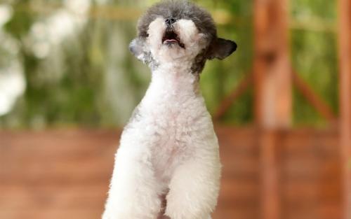 ںӹ2ȷ1֢״Ⱦг̹켣