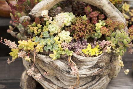 ƶ|ɽ׵طƶǨƶ˿ȫȶƶ