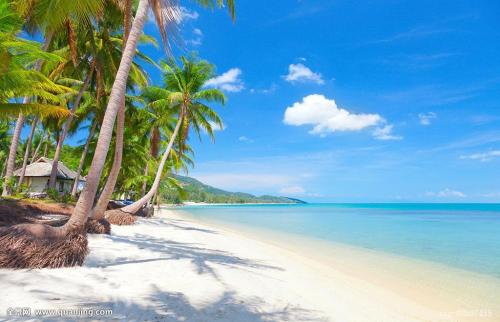 ³¤ÕâÑù!ÖйúÑо¿ÍŶÓÔÚÄϺ£Ê״η¢ÏÖÉñÃØà¹¾¨