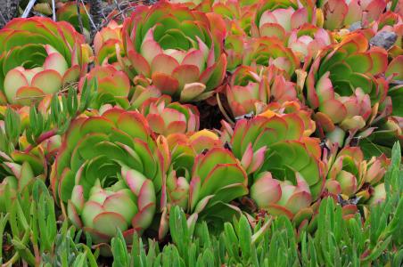 ںӹ2ȷ1֢״Ⱦг̹켣