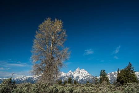 ޵ǵ1 ڹ˹Ǻ˵վݹر