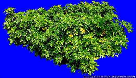 ж! 2020սͼ:48ɽ ¹ű