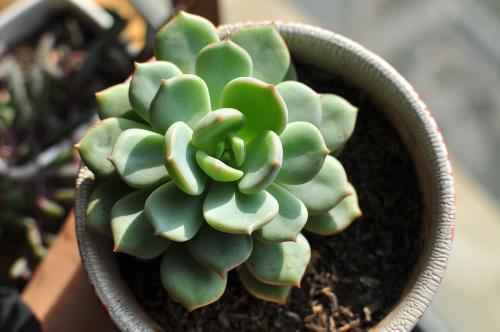 հ죺ˮϵȫͨ ˳ǡø˾