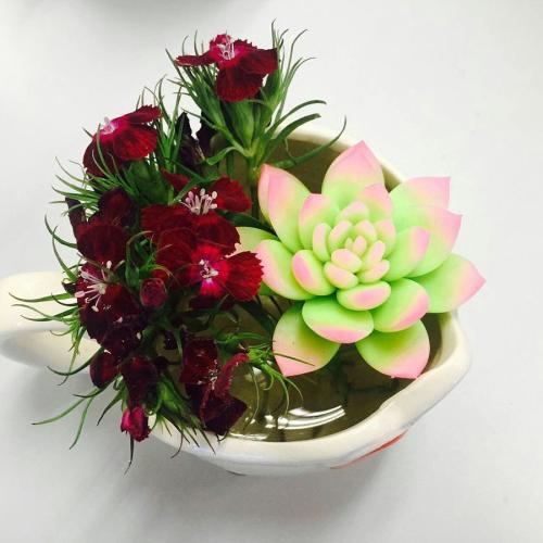 永4.2Ԫ㽭һҽթƭ